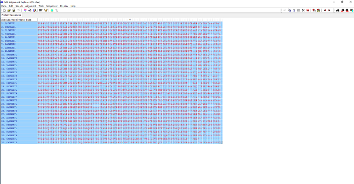 figure-results-2804