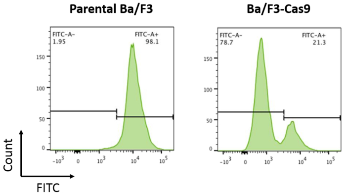 figure-results-7604