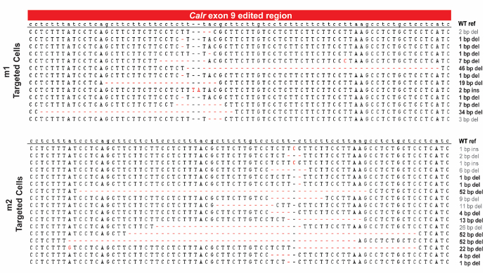 figure-results-9471