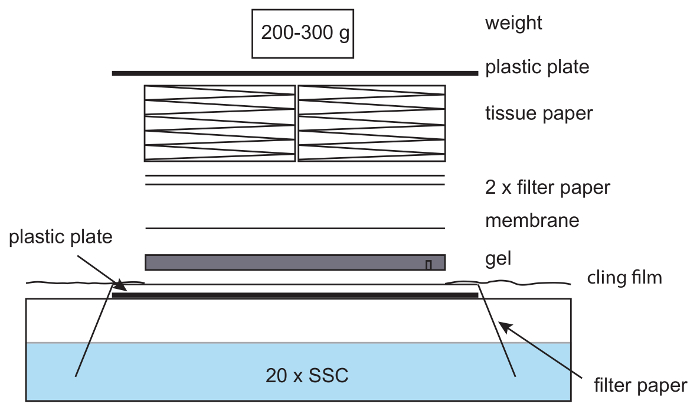 figure-results-5837