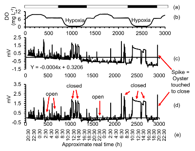 figure-protocol-16303