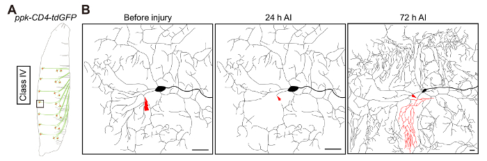 figure-results-6767