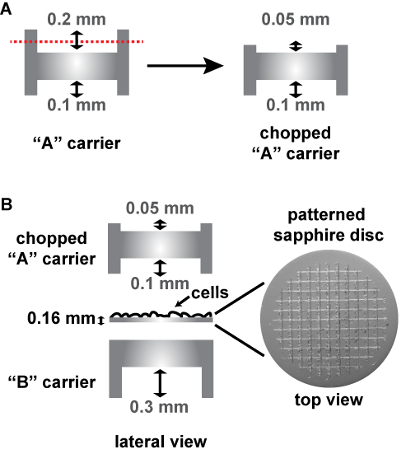 figure-protocol-4112