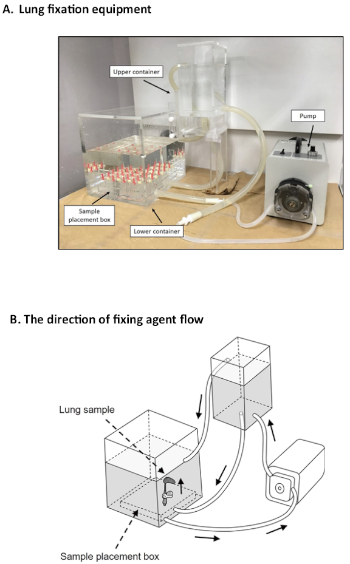 figure-results-3584