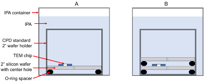 figure-protocol-13732