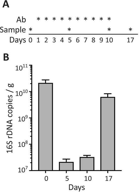 figure-results-4522