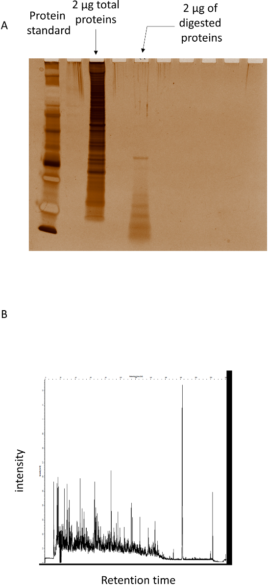 figure-results-5505