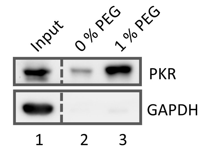 figure-results-3705