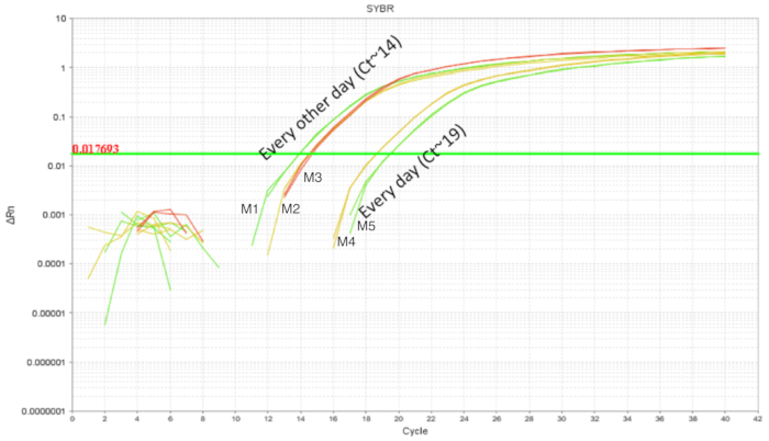 SYBR qPCR amplification plot, cycle threshold analysis, comparative expression, logarithmic scale chart.