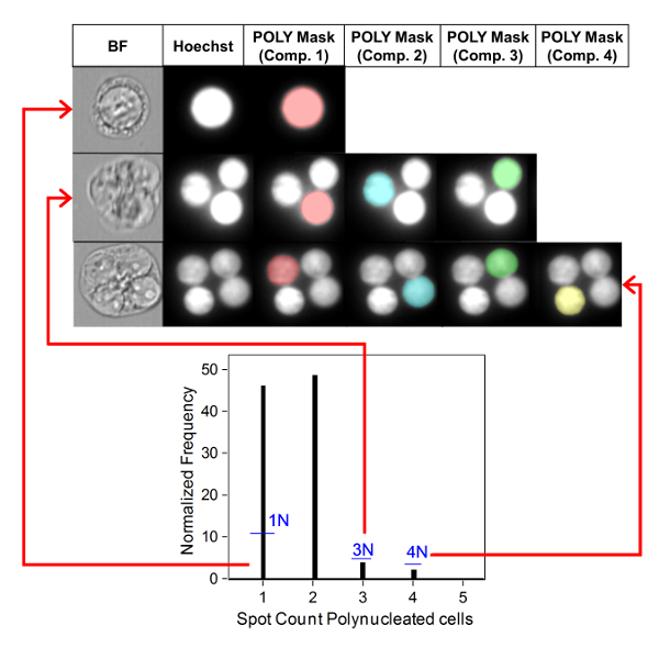 figure-results-7571