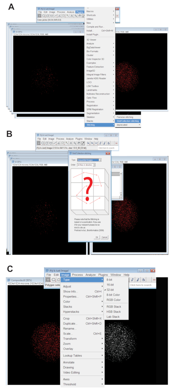 figure-protocol-10482