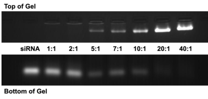 figure-results-3343