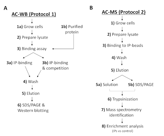 figure-results-6824