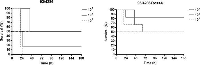 figure-results-3927
