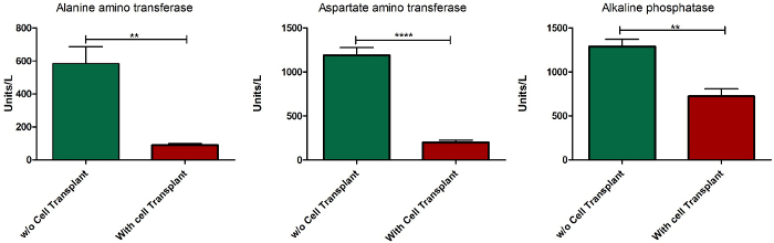figure-results-13553