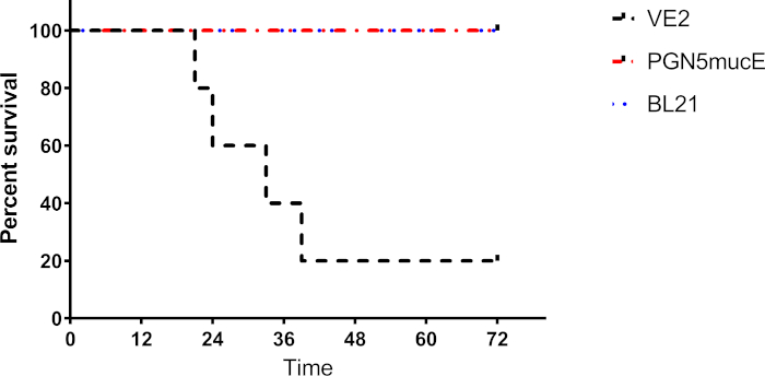 figure-results-5636