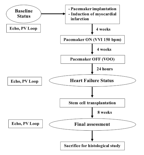 figure-results-3055