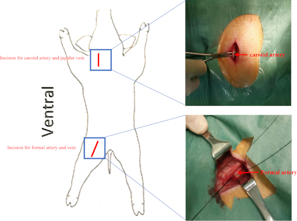 figure-results-8664