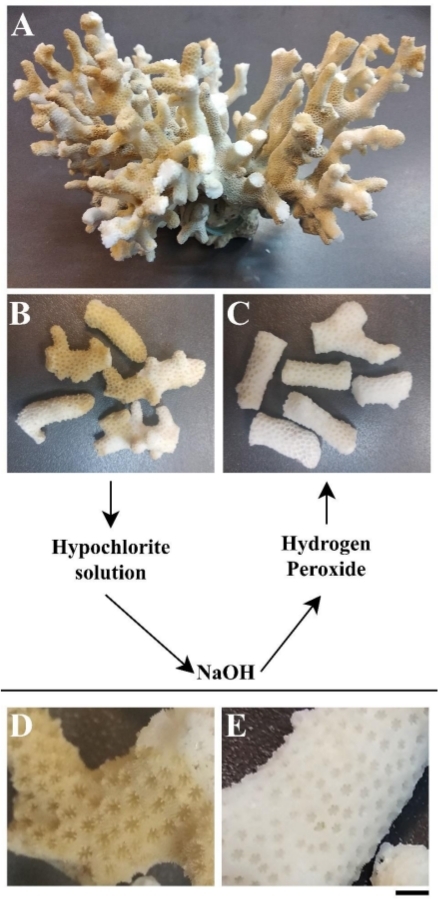 figure-results-3768