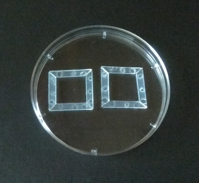 figure-protocol-5087