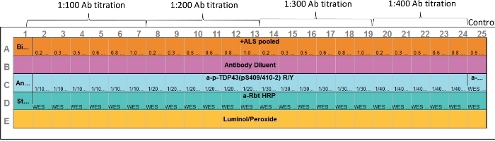 figure-protocol-12421