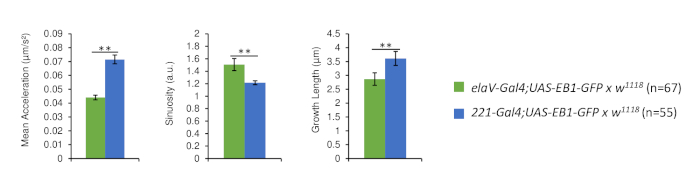 figure-results-8796