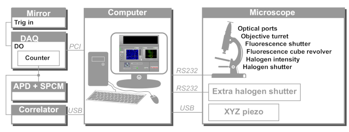 figure-results-2031