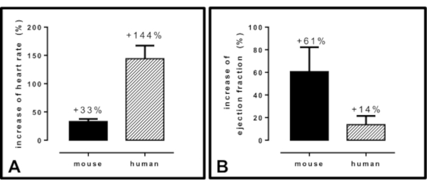 figure-results-13485