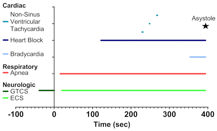 figure-results-24997