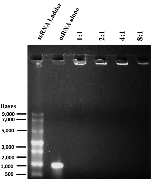 figure-results-4538