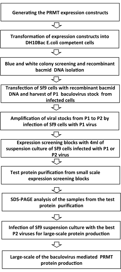 figure-results-5628