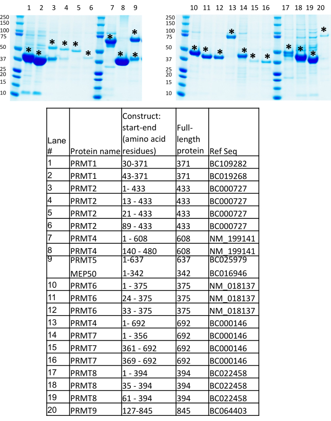 figure-results-7708