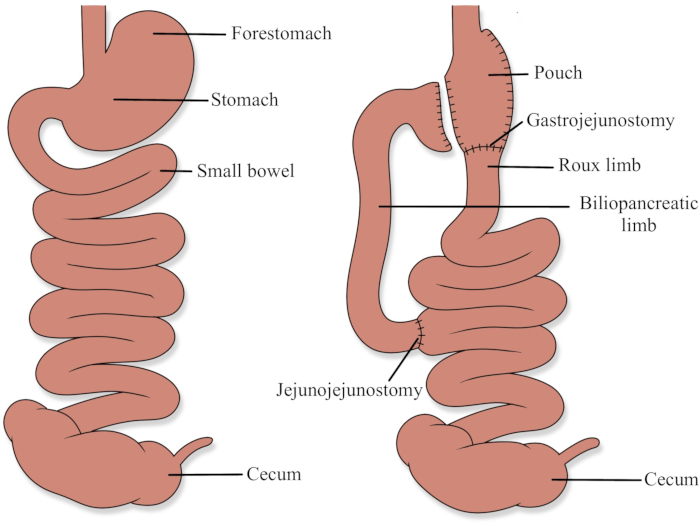 figure-results-2321