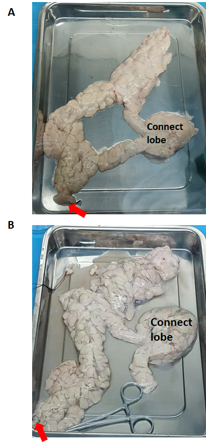 figure-results-4022