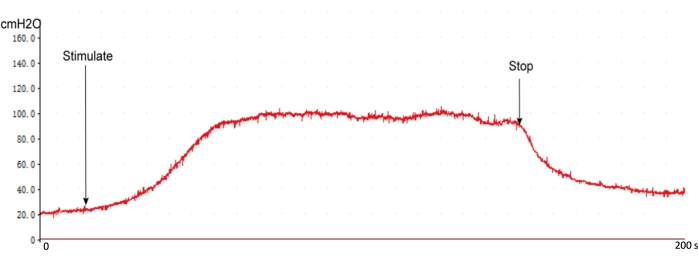 figure-results-3746