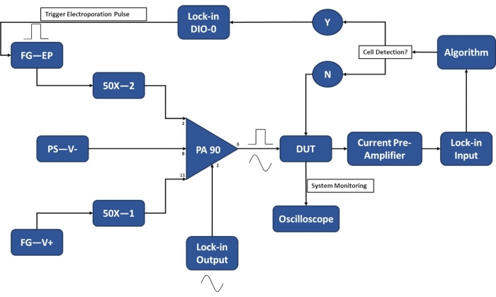 figure-protocol-22907