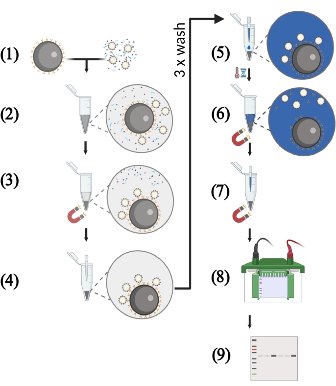 figure-protocol-5323