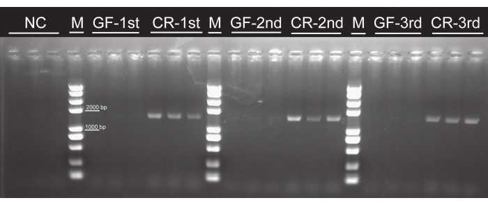 figure-results-4744