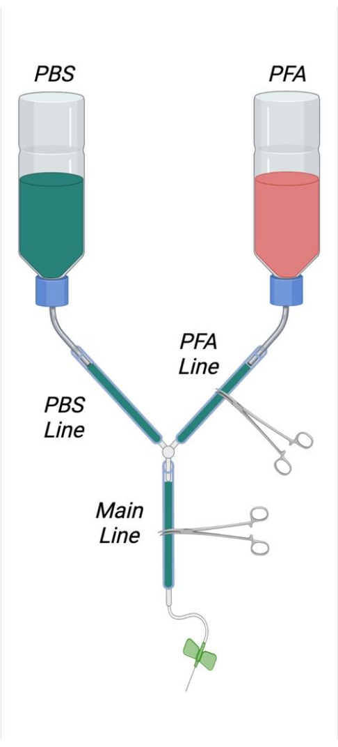 figure-protocol-1095