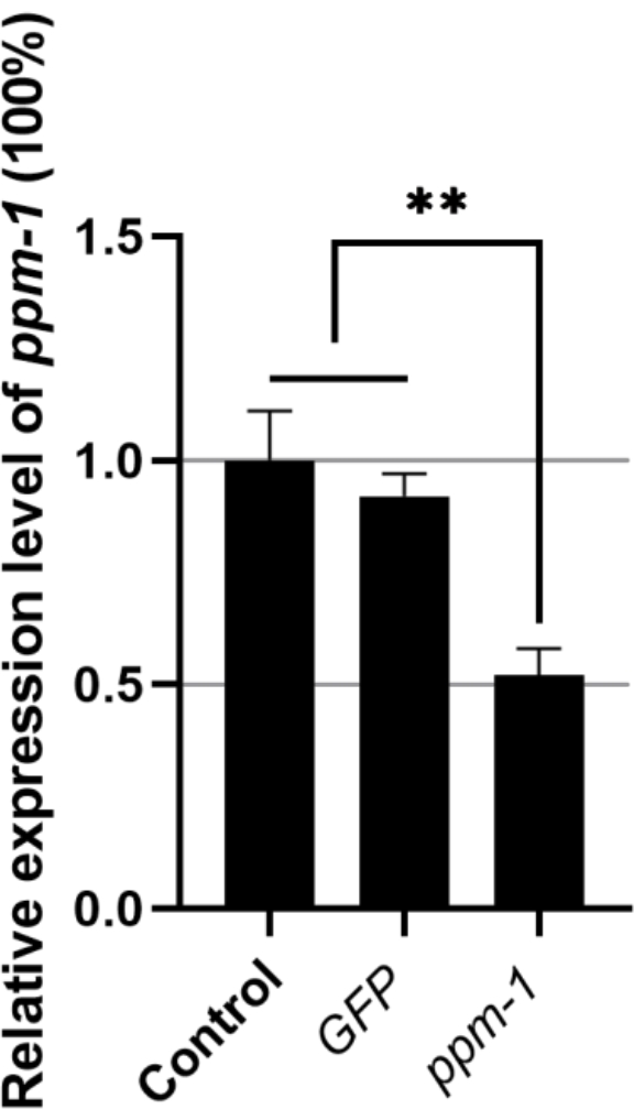 figure-results-1743