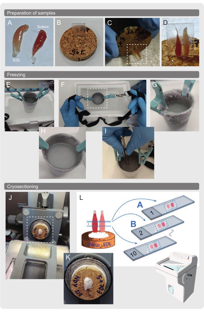 figure-results-9774