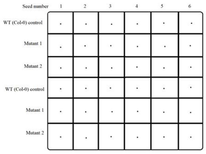 figure-results-2146