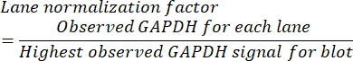 figure-protocol-17915