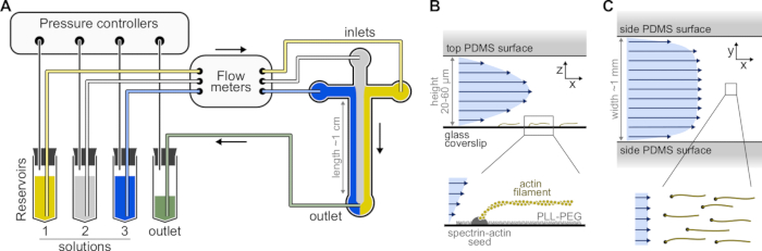 figure-protocol-11669