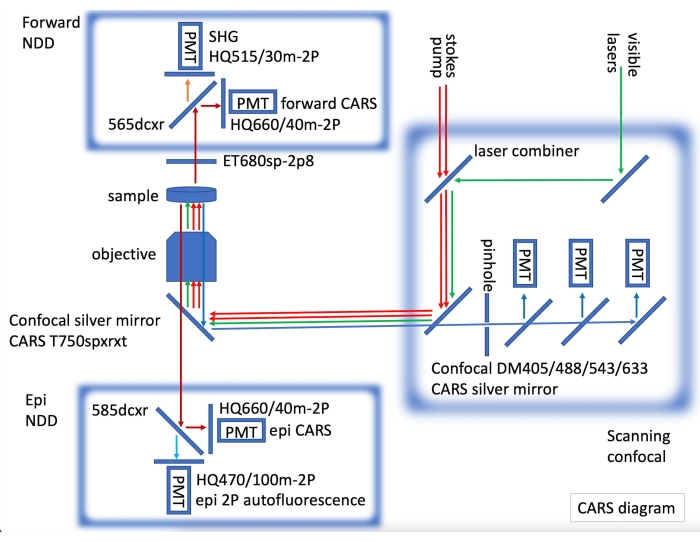 figure-protocol-7738