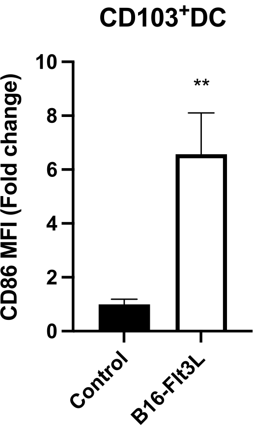figure-results-5145