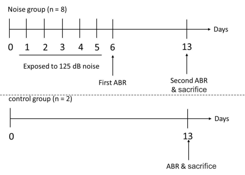figure-results-2687