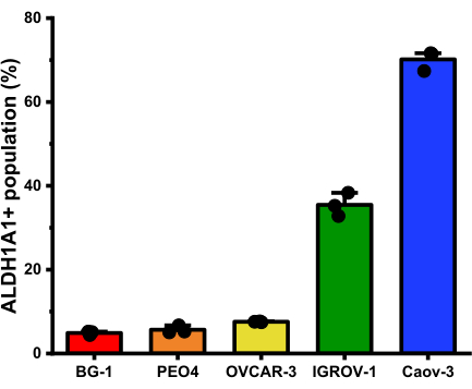 figure-results-5264