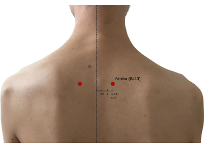 figure-results-4397