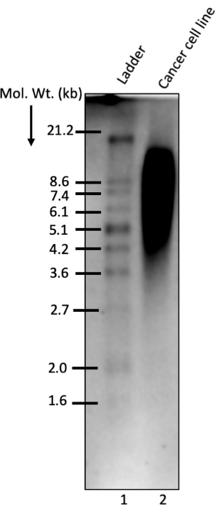 figure-results-2488